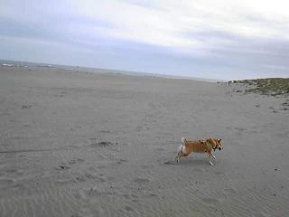 d0087483_0363510.jpg