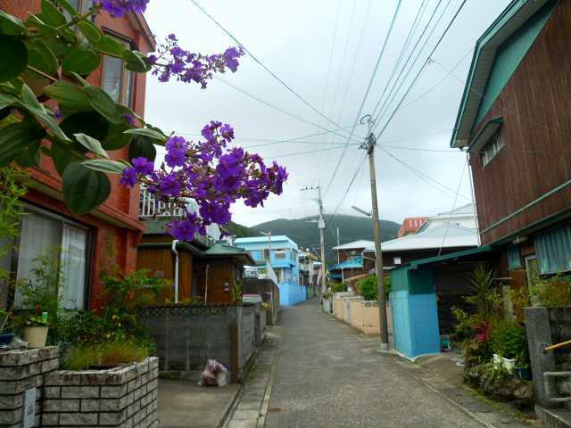 b0115085_11292548.jpg