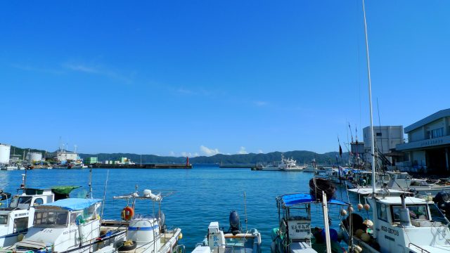 b0115085_1630199.jpg