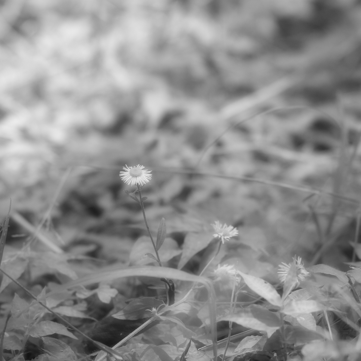 c0036985_232231.jpg
