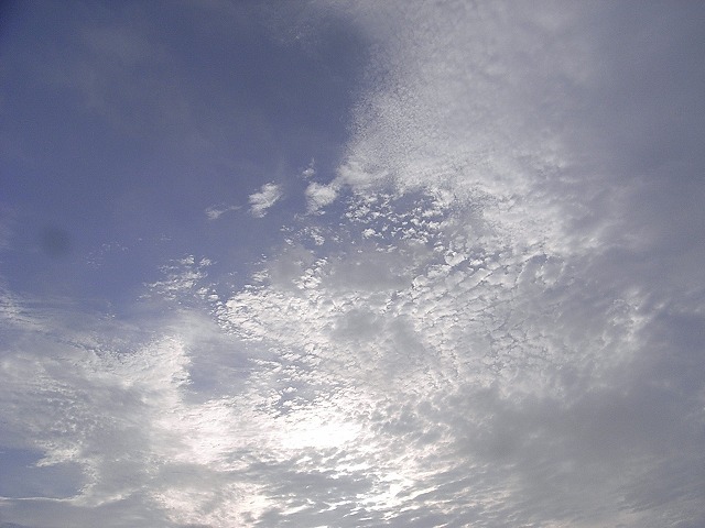 a0118289_8552672.jpg