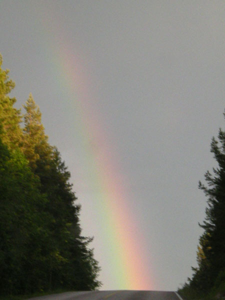 e0123689_6253210.jpg