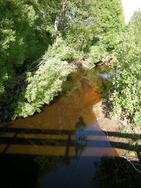 e0123689_6275132.jpg