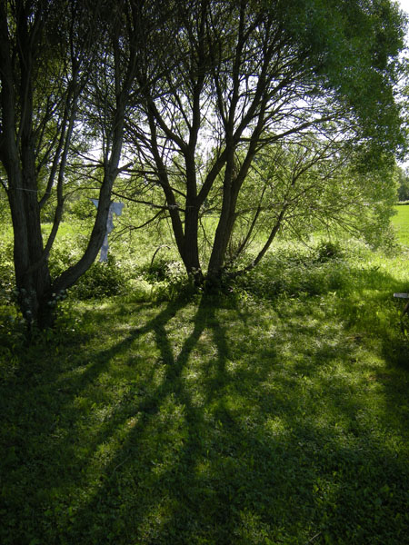 e0123689_6282639.jpg