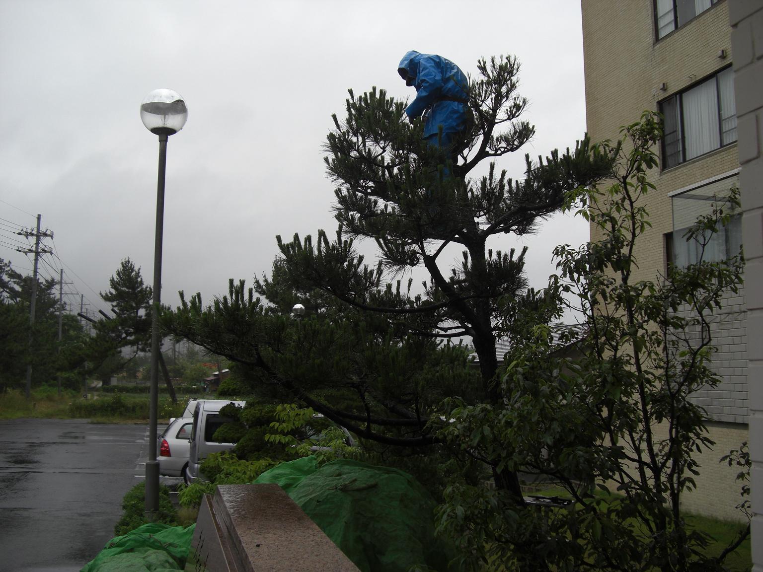 f0131491_13404488.jpg