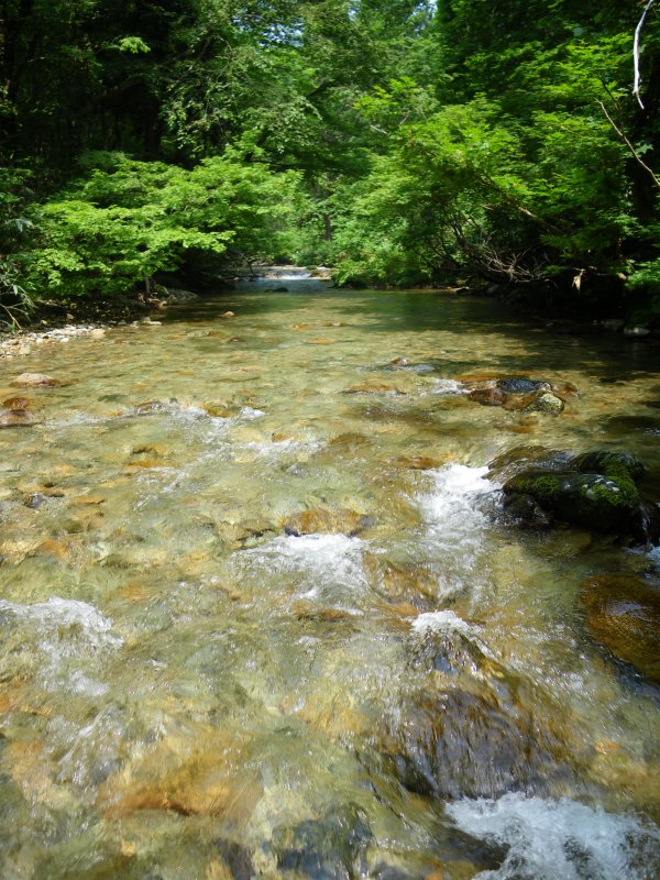 f0129994_21431149.jpg