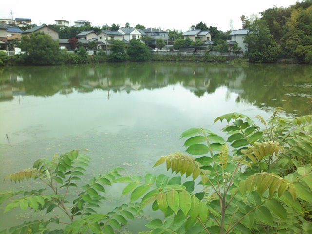 f0077595_15225659.jpg