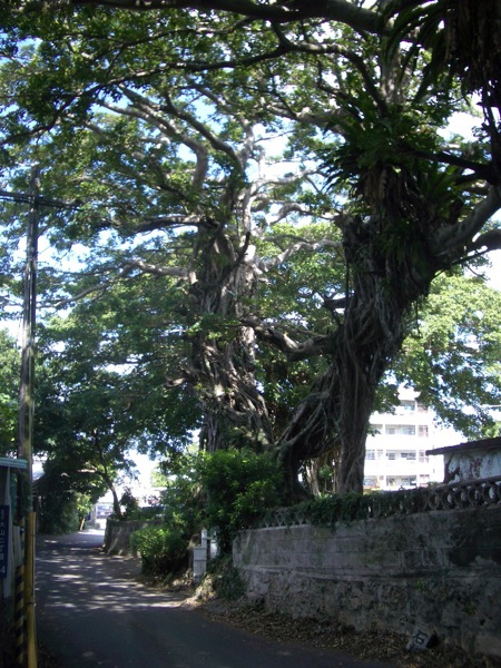 c0193396_10545418.jpg