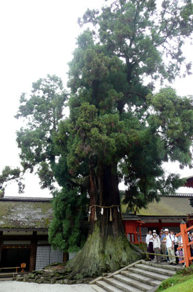 c0145299_2224672.jpg