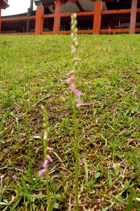 c0145299_2243056.jpg