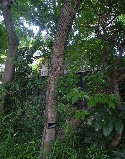 e0043700_22423092.jpg