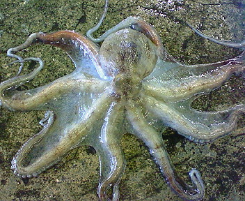 f0175403_1519920.jpg
