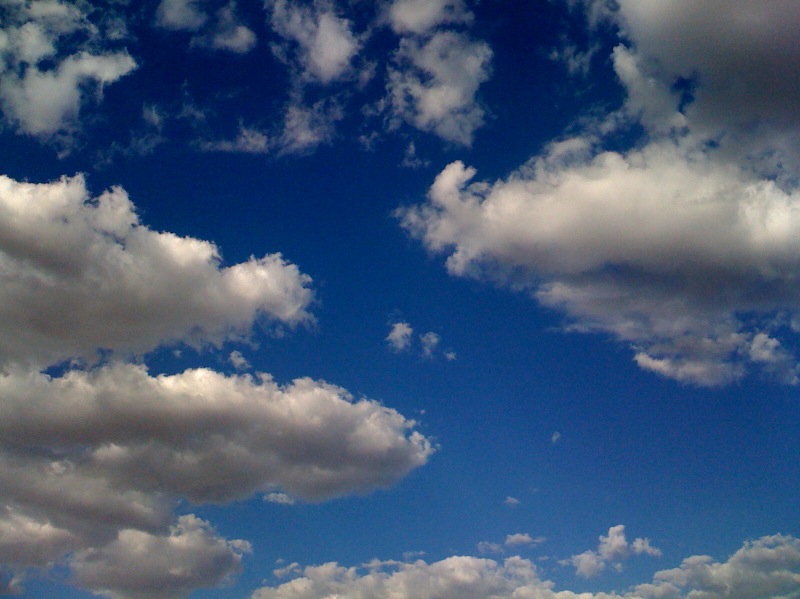 c0048504_1361231.jpg
