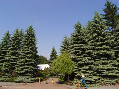 f0065604_21143269.jpg