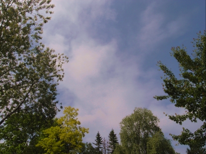 f0065604_21152657.jpg