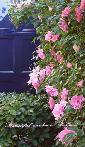 c0084506_16442977.jpg