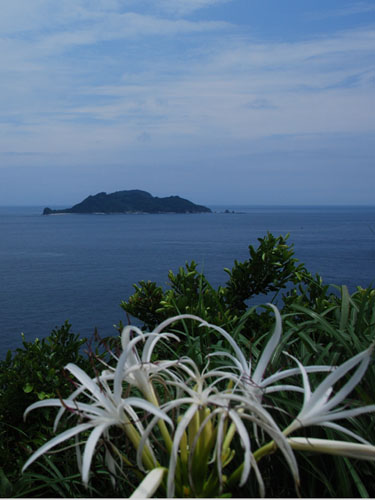 b0014607_22254685.jpg