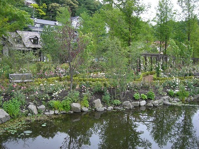 c0117007_221299.jpg