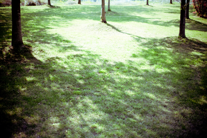 d0146912_2010698.jpg