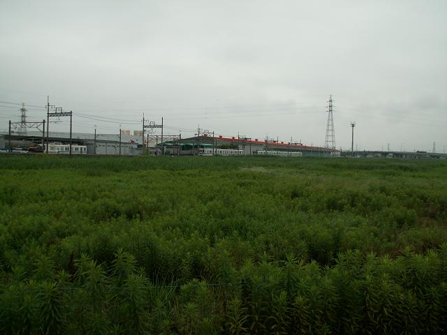 e0039316_1838920.jpg