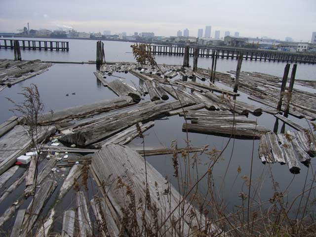 e0049318_1155555.jpg