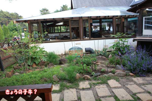 f0203423_1701683.jpg