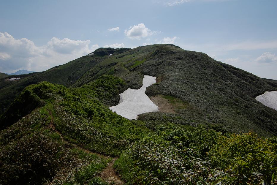 b0062024_6515445.jpg