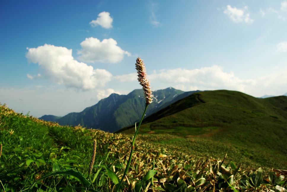 b0062024_732446.jpg