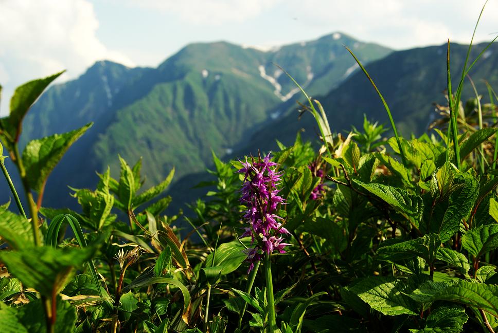 b0062024_733054.jpg