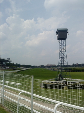 b0169024_6515861.jpg