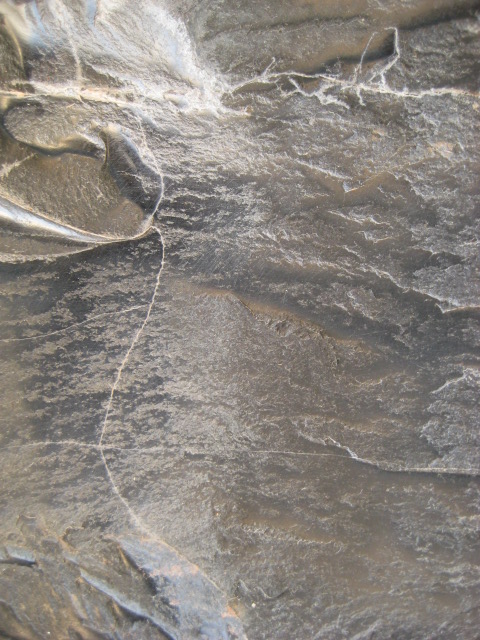 d0147727_20431245.jpg