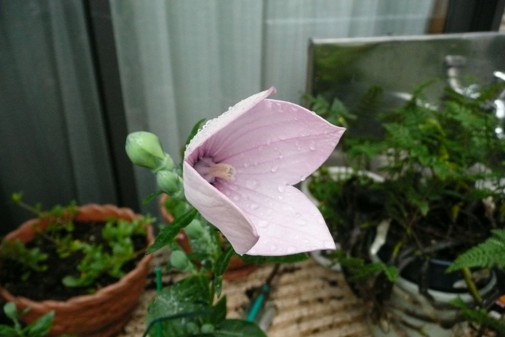 e0033229_20314196.jpg