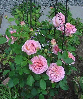 f0205733_211435.jpg