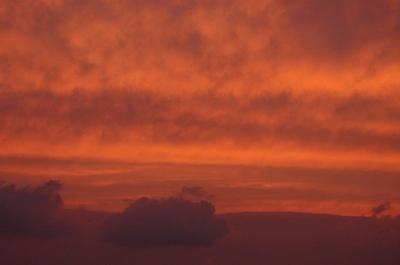 a0017634_2045589.jpg