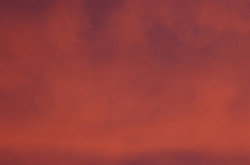 a0017634_2055534.jpg