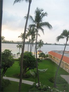 d0000937_2131163.jpg