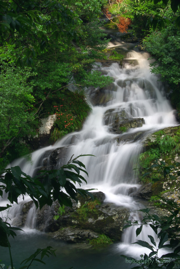 e0083238_22201211.jpg