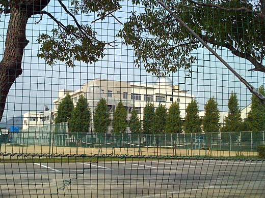 b0016043_8423723.jpg
