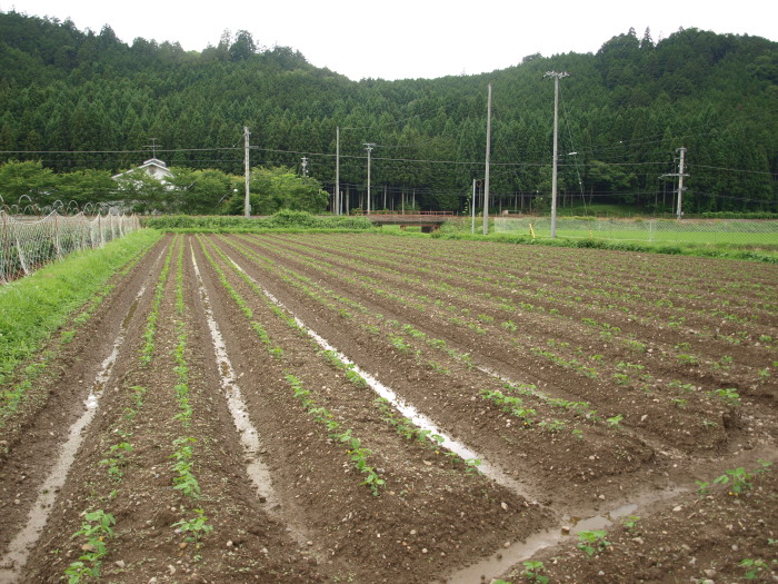 c0072843_18144739.jpg
