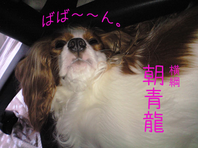 a0120944_12201117.jpg