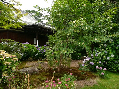 c0057946_1955768.jpg