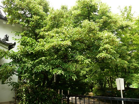 c0057946_1972389.jpg