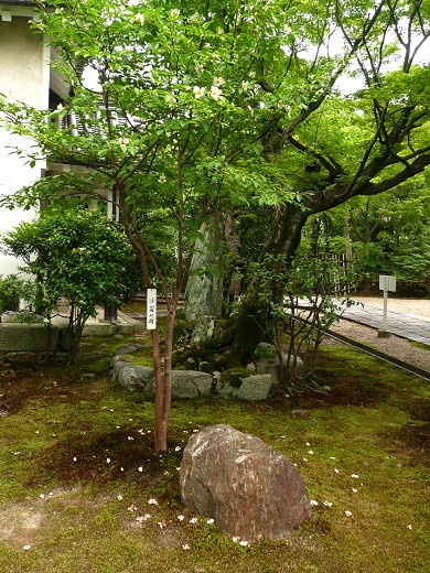 c0057946_197275.jpg