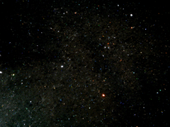 e0005548_2014688.gif