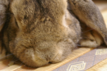 c0145449_2142597.jpg