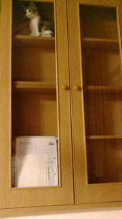 e0150849_1257523.jpg