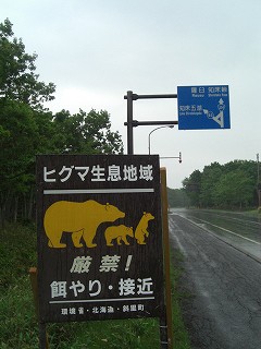 f0009451_22551969.jpg