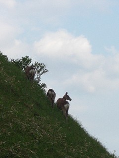 f0009451_22574399.jpg