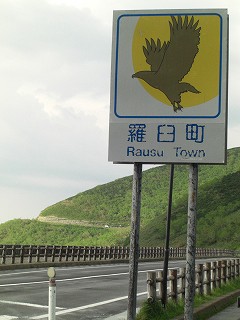 f0009451_2257565.jpg