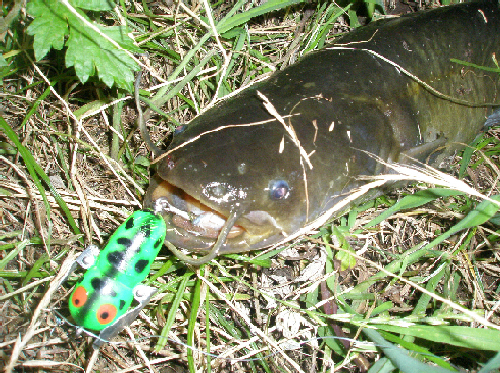 f0150151_10472349.jpg